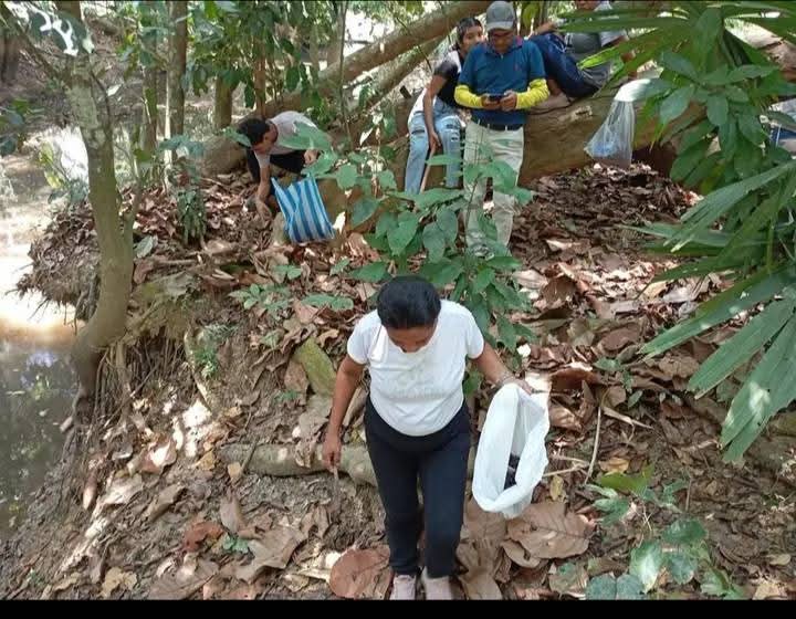Caminata comunitaria para la recolección tradicional de cascarillas
